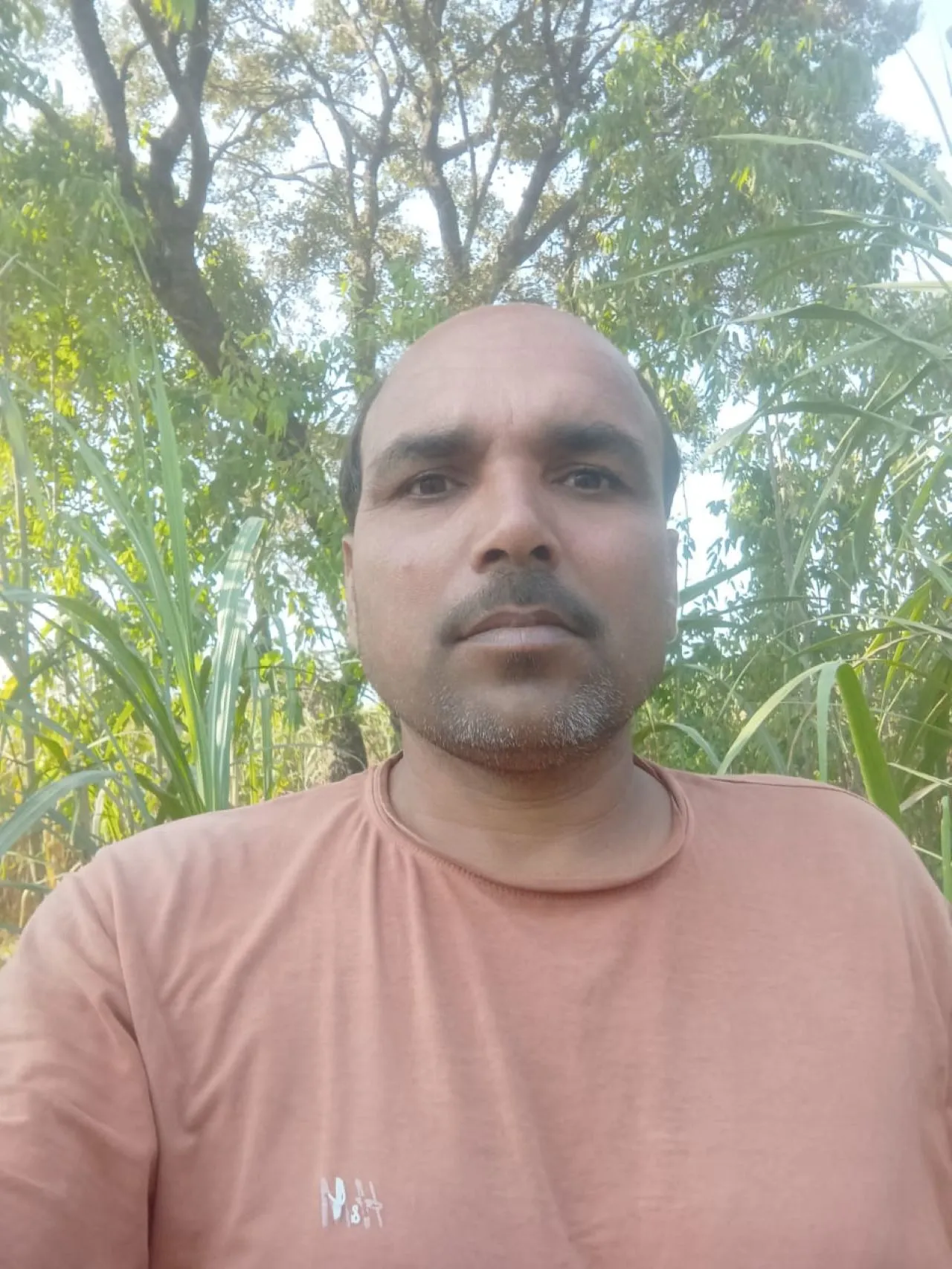 वाईबीएन 