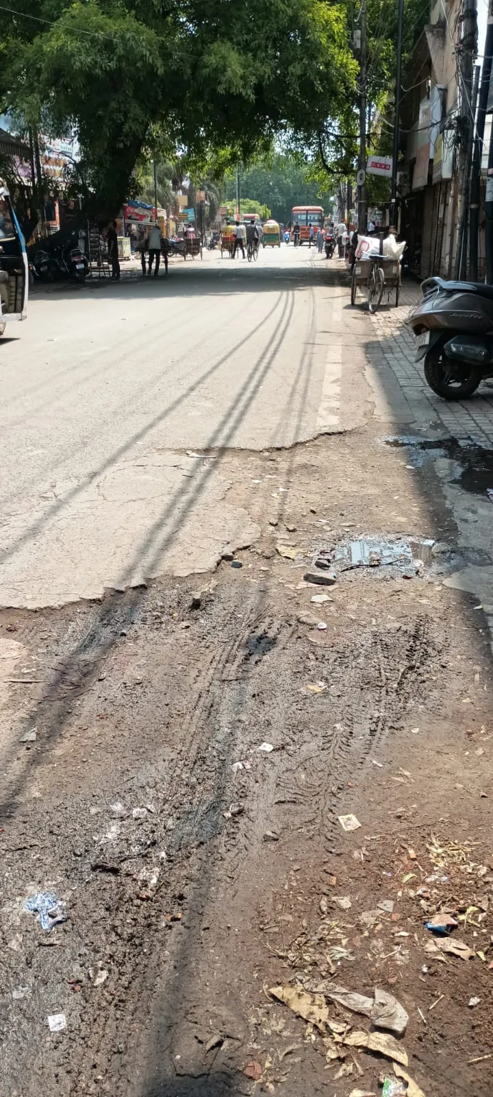 Subhash Nagar pothole