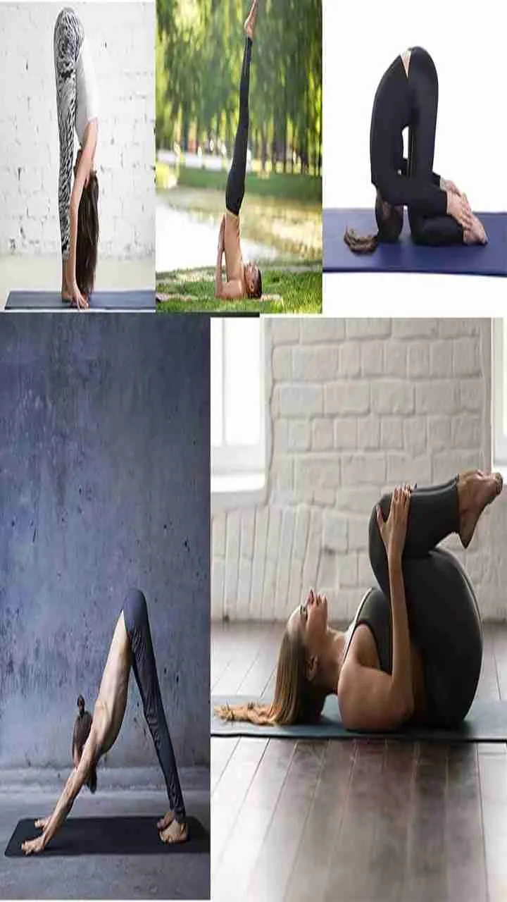 Poster - Six Yoga Poses to reduce Hair Fall, 12x18 inches Fine Art Print -  Quotes & Motivation, Educational, Sports, Art & Paintings posters in India  - Buy art, film, design, movie,