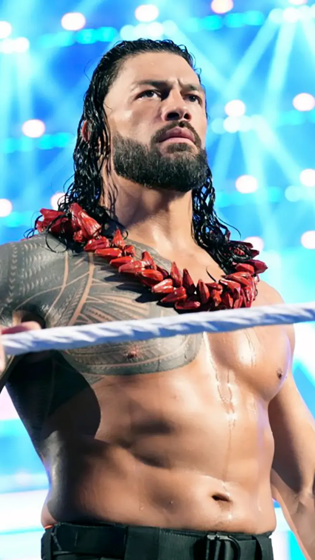 5 superstars hotsell
