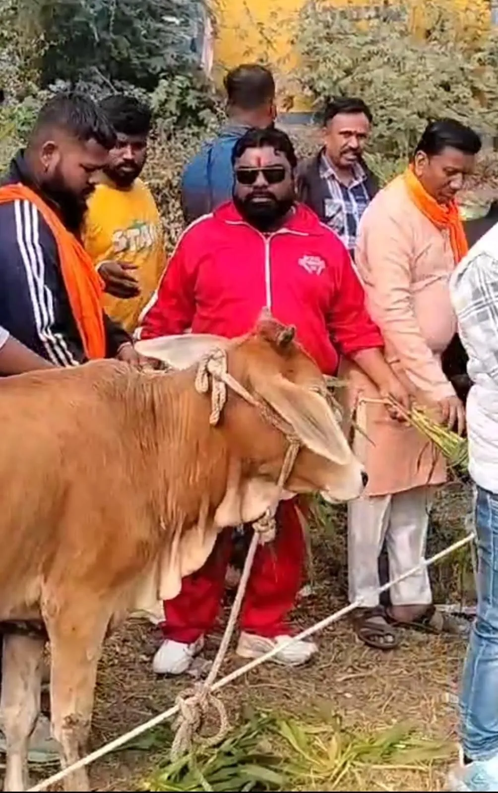 indore bajranj dal attack