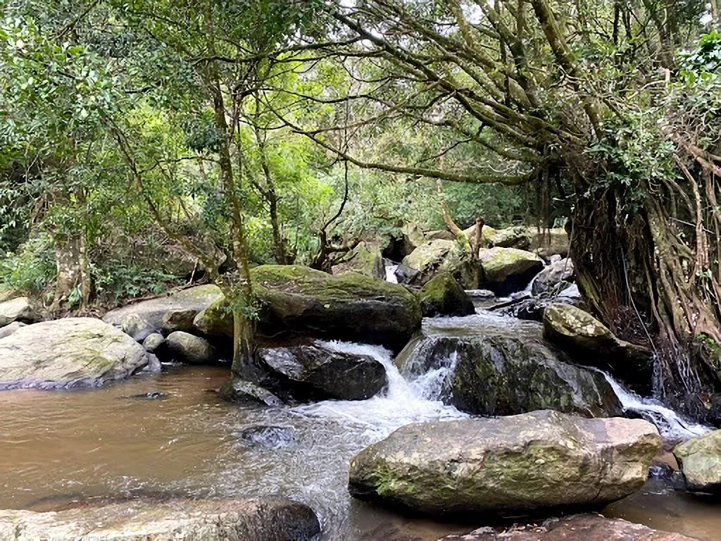 chilanthiyar waterfall