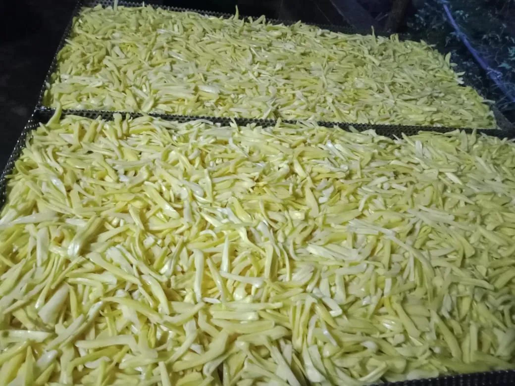 Eden Jackfruit Products