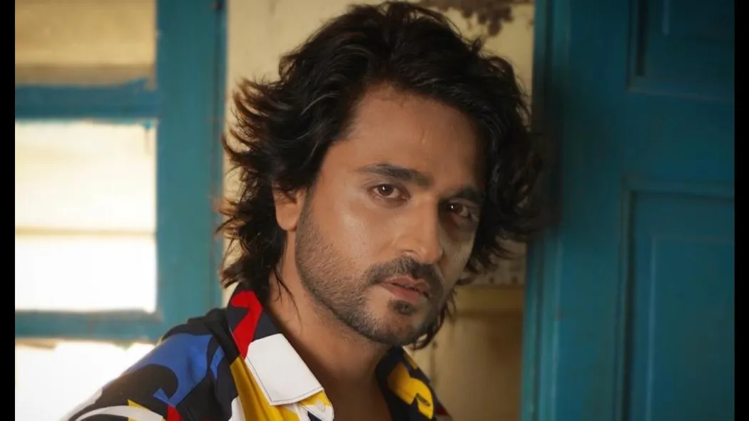 Aashiesh Sharrma: I have lot more to offer besides acting | Bollywood -  Hindustan Times