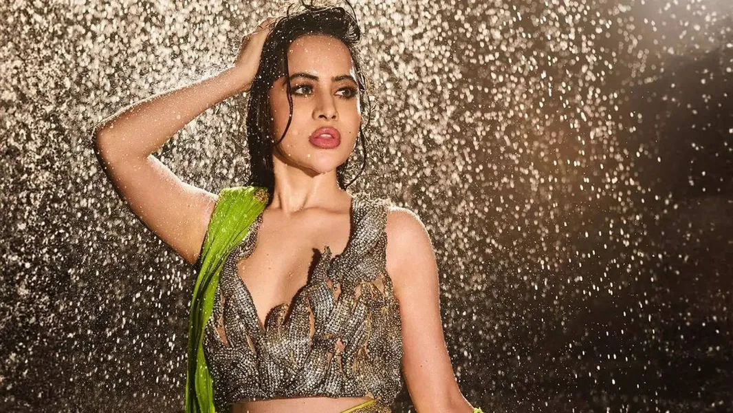 Urfi Javed Doesn't Fear Overexposure: It's Okay To Be Viral | EXCLUSIVE |  Times Now