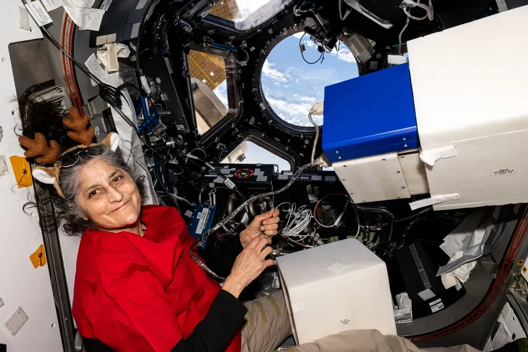 sunita williams01