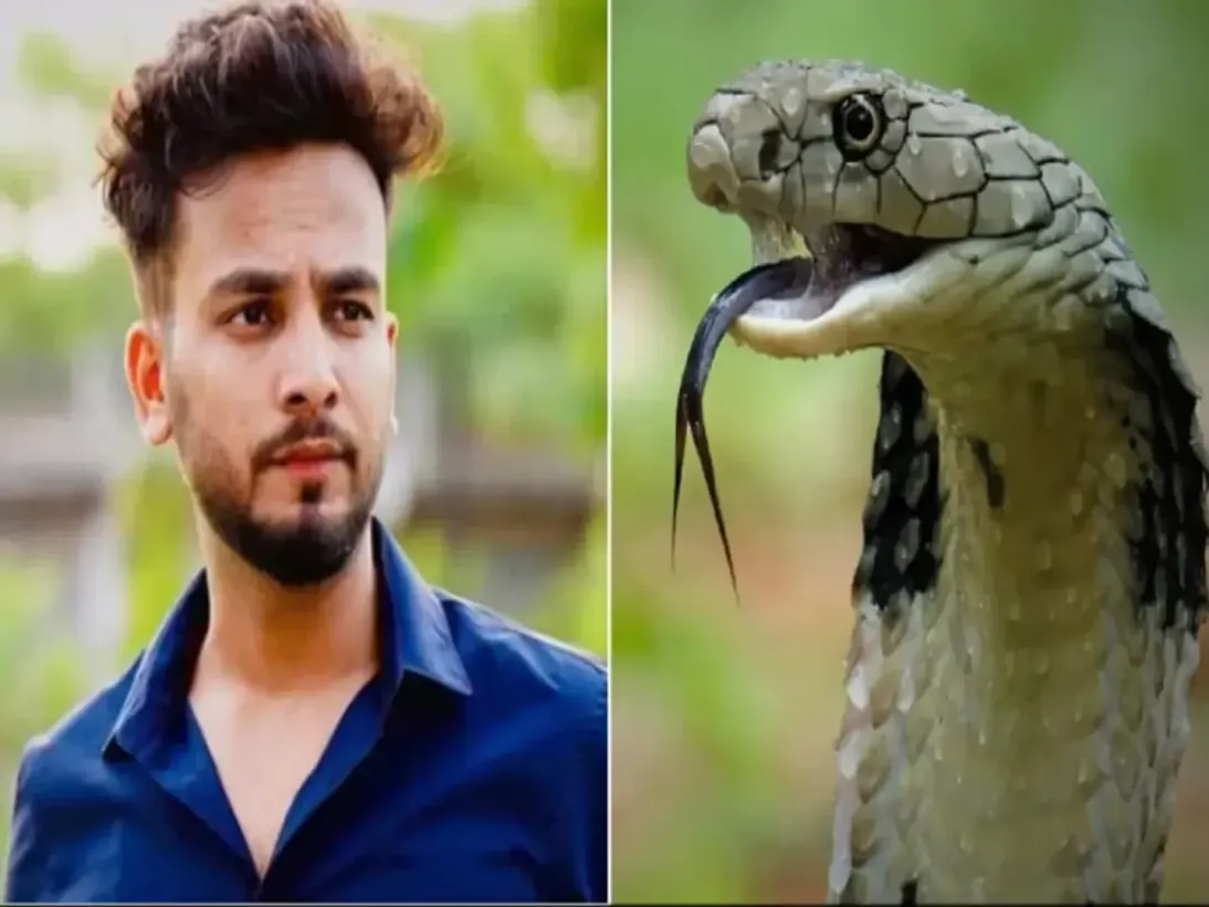 elvish yadav gets bail in snake venom case from noida court - एल्विश यादव  को जहर वाले केस में कोर्ट से जमानत, 5 दिन बाद दूसरी मुश्किल से होगा सामना,  एनसीआर न्यूज