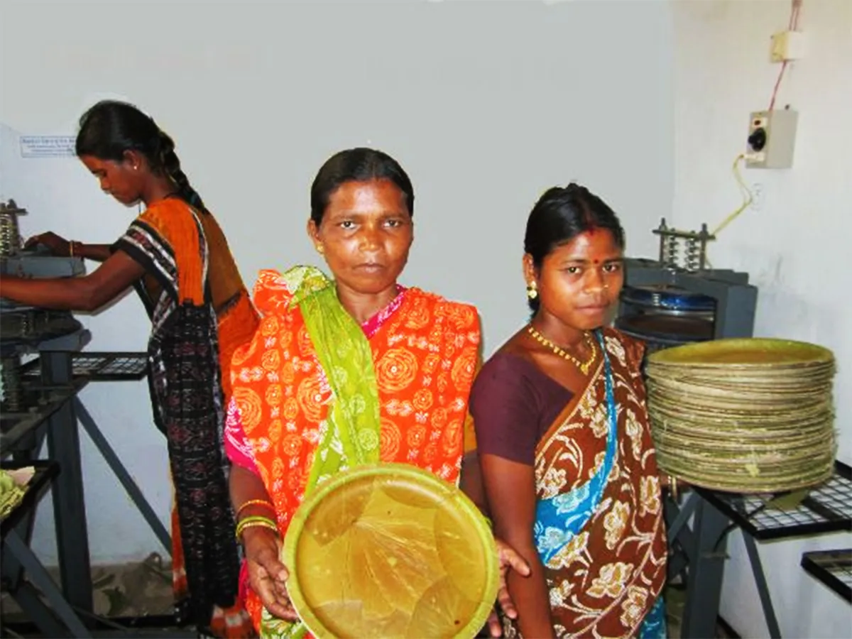 Tribal women making siali leaf plates in Odisha
