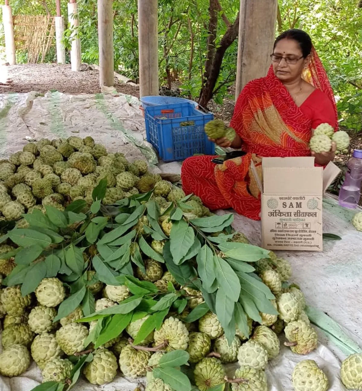 How Madhya Pradesh homemaker Lalita Mukati became millionaire organic farmer