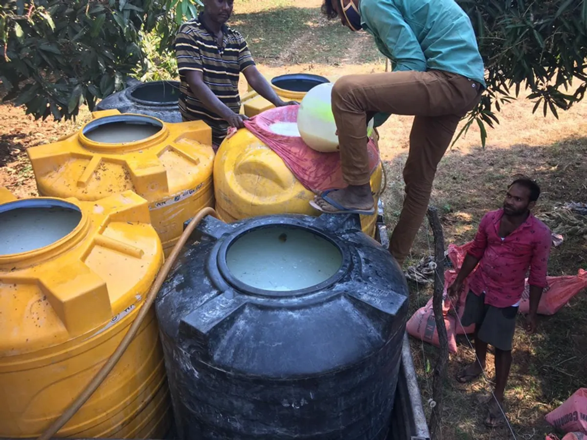 Andhra farmer gets triple the market rates for mango & paddy with zero-cost natural farming