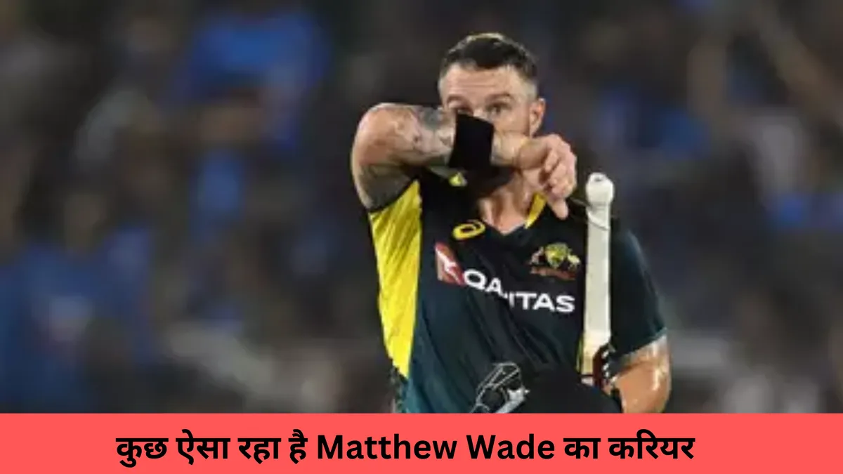 कुछ ऐसा रहा है Matthew Wade का करियर 