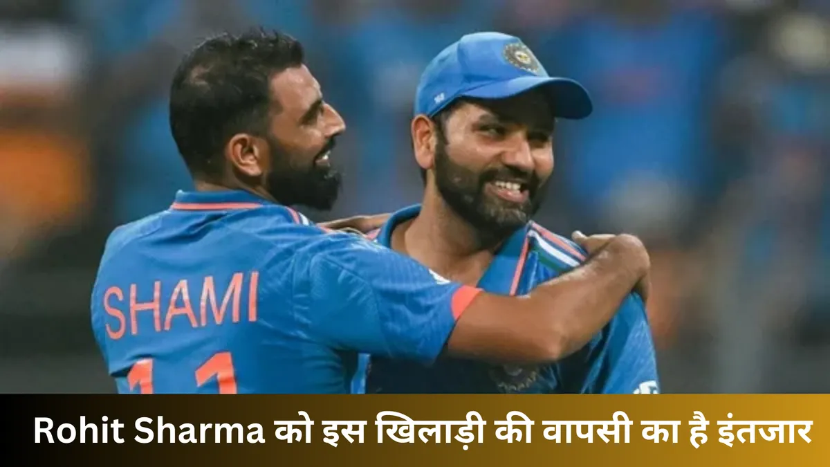 मोहम्मद शमी ने वनडे विश्व कप में बरपाया था कहर 
