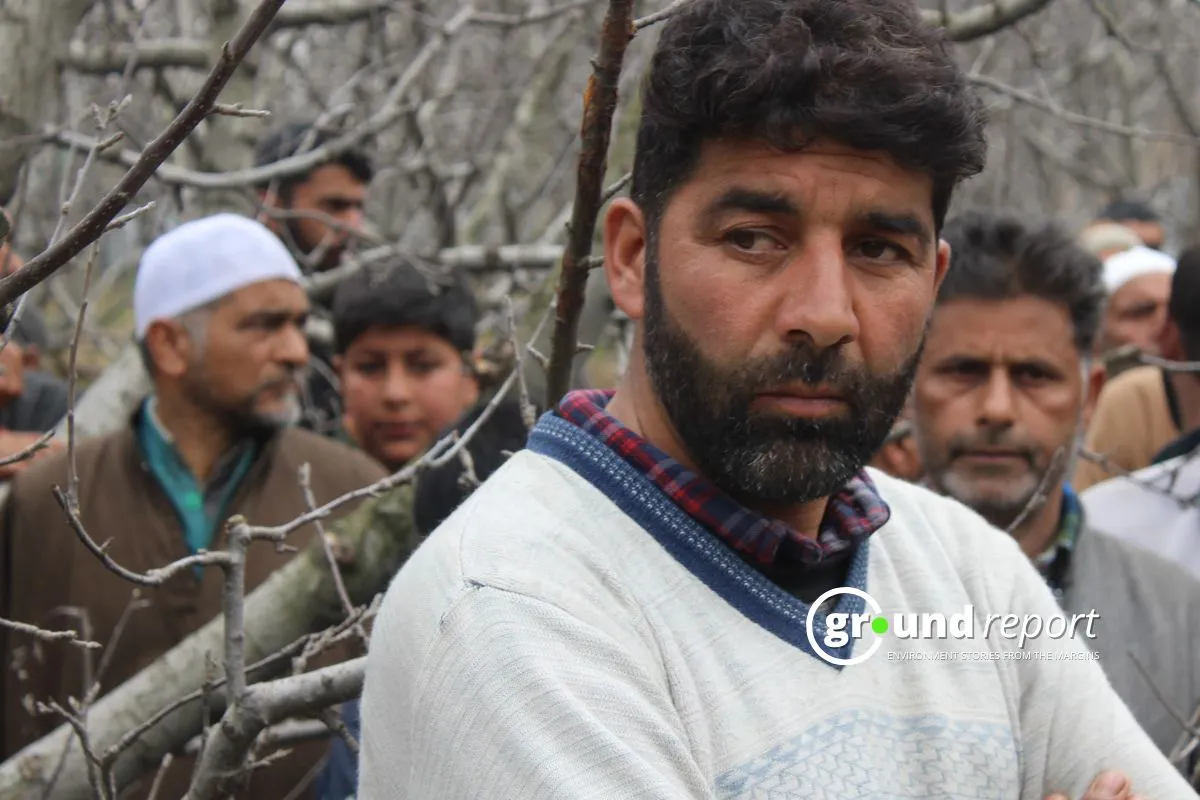 In Shopian, amidst the ongoing protest , an orchard owner watches over his precious orchards, fearing they may soon be claimed for the train route.  [Photo Credit: Irfan Ahmad]
