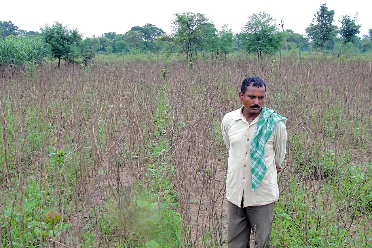 Devastated farmer Kalu Ram Nishad of Mohamara
