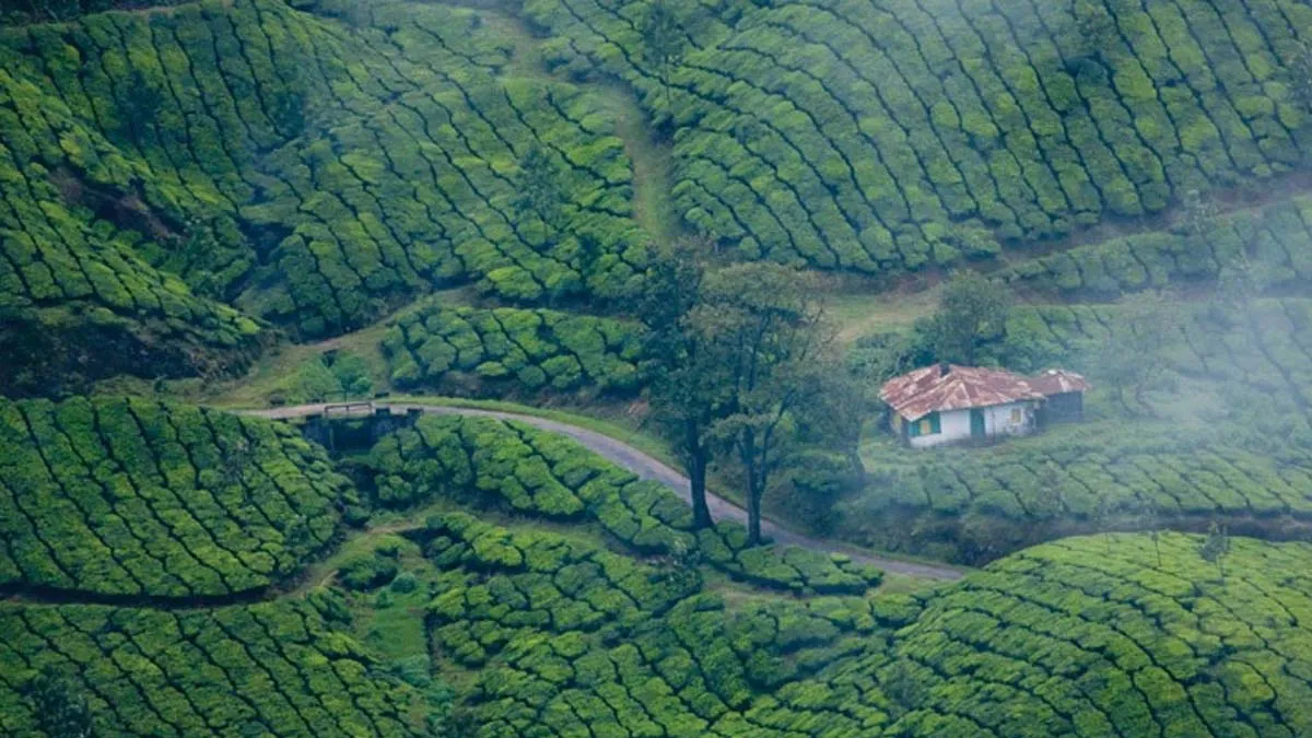 Munnar Tourism