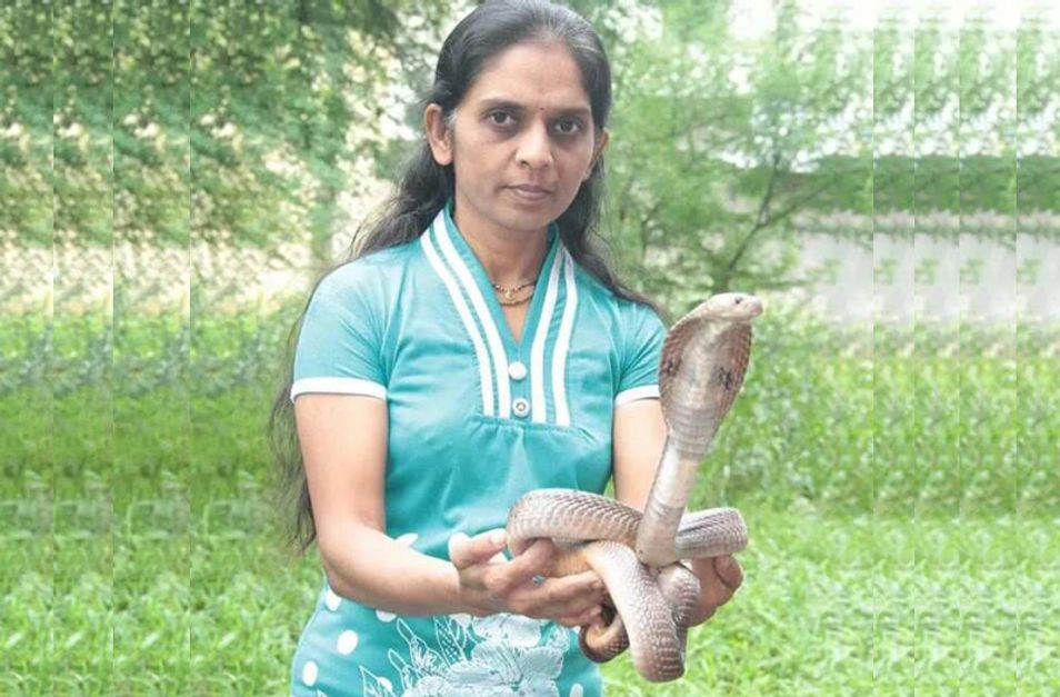 Vanita Borade Maharashtra’s ‘snake friend’ who has rescued 75,000