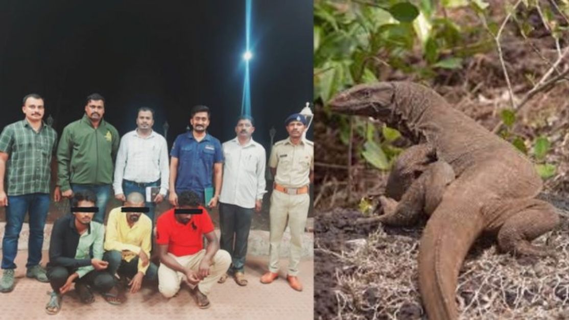 Four held for 'raping' Bengal monitor lizard in Maharashtra forest