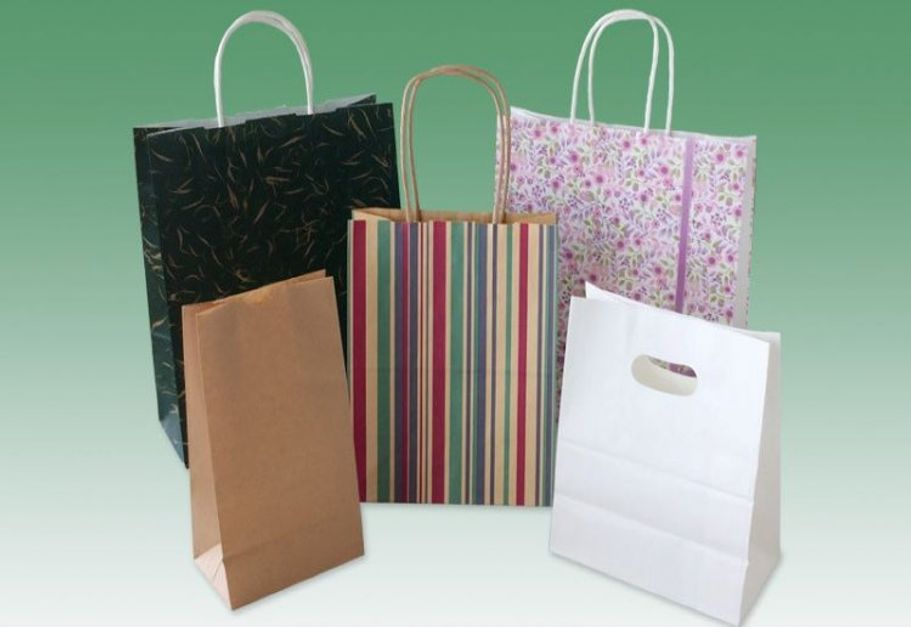 Floral Design Paper Gift Bags 5 Count 18x14x5 Big Size  No Plastic  Shop