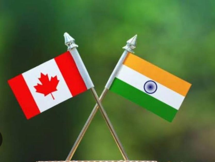 how-are-indian-companies-contributing-to-canada-s-economy-and-what