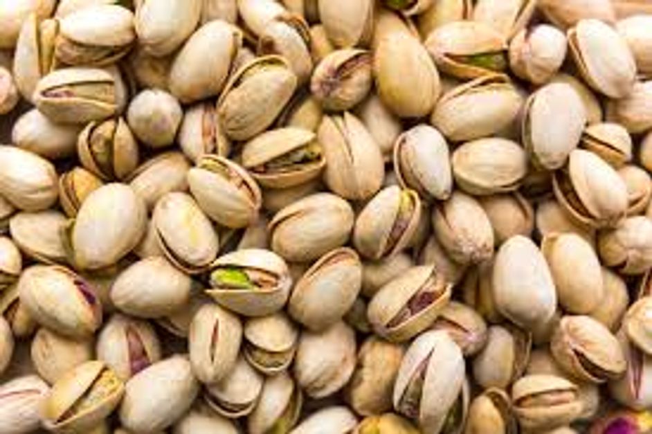 Pistachios For Rats: Safe Snack Or Deadly Treat? - k1esf68