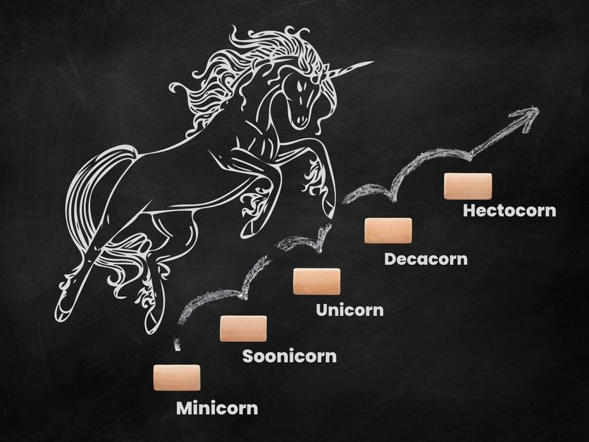 What Are The Different 'Corns' In The Startup World?