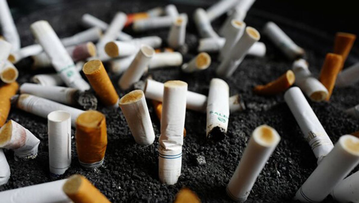 HC dismisses plea seeking prohibition of gross anti-tobacco health ...