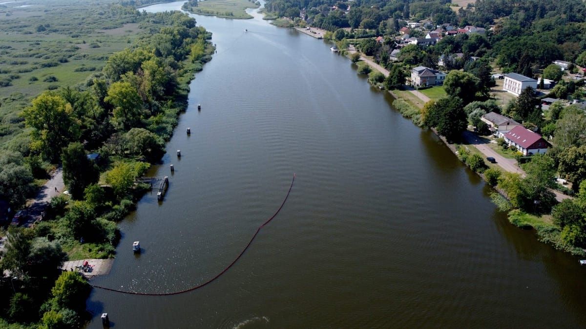 Równowaga pomiędzy ekologią i ekonomią