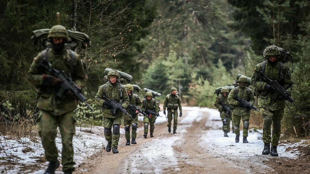 Lietuvos atsargos kariai laukia iškvietimų į mokymus