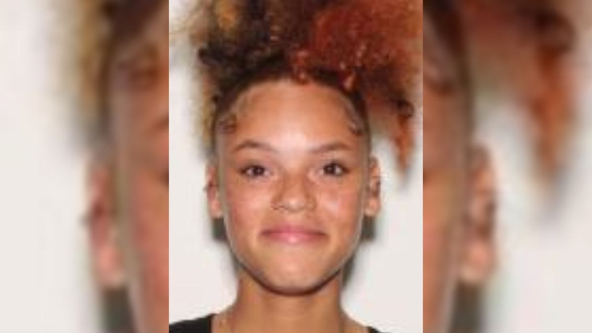 Mystery in Greenfield The Disappearance of Diamond Danae Davis