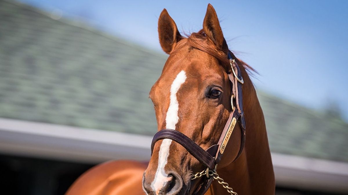 Mineshaft Takes Early Lead in 2024 General Sires List Following Senor