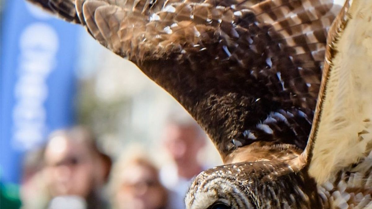 SEWE 2024 Charleston's Great Outdoors Celebration Unveils New Events