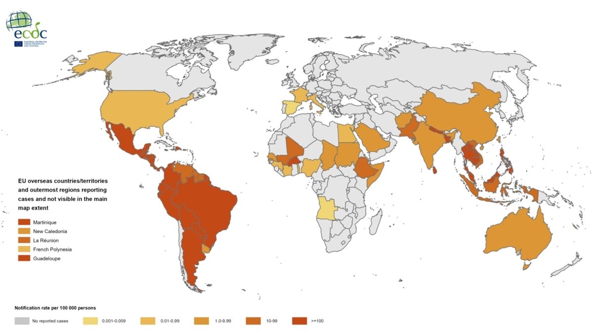 Brazil Faces Unprecedented Dengue Outbreak: Over 1 Million Cases and ...