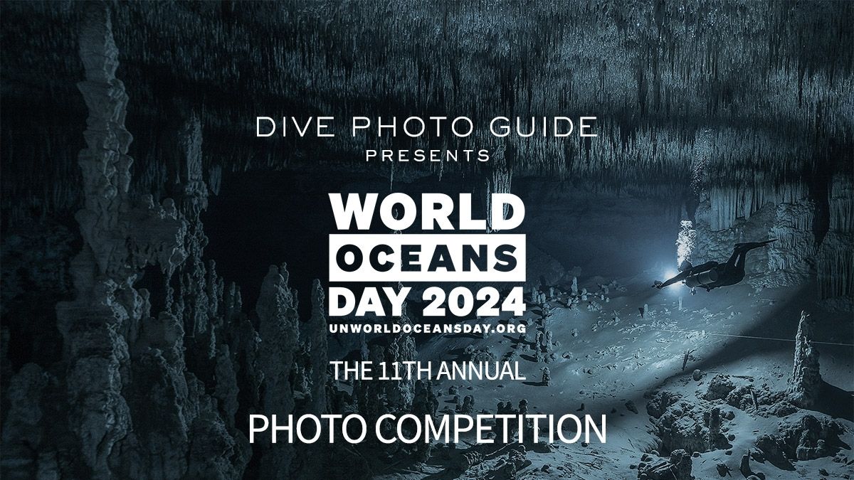 UN World Oceans Day 2024 Photo Competition Inviting Submissions To   7966e48b986cc389eb4bf443ec344bbec170f4b7230dae6d05ff21bc4548677b 