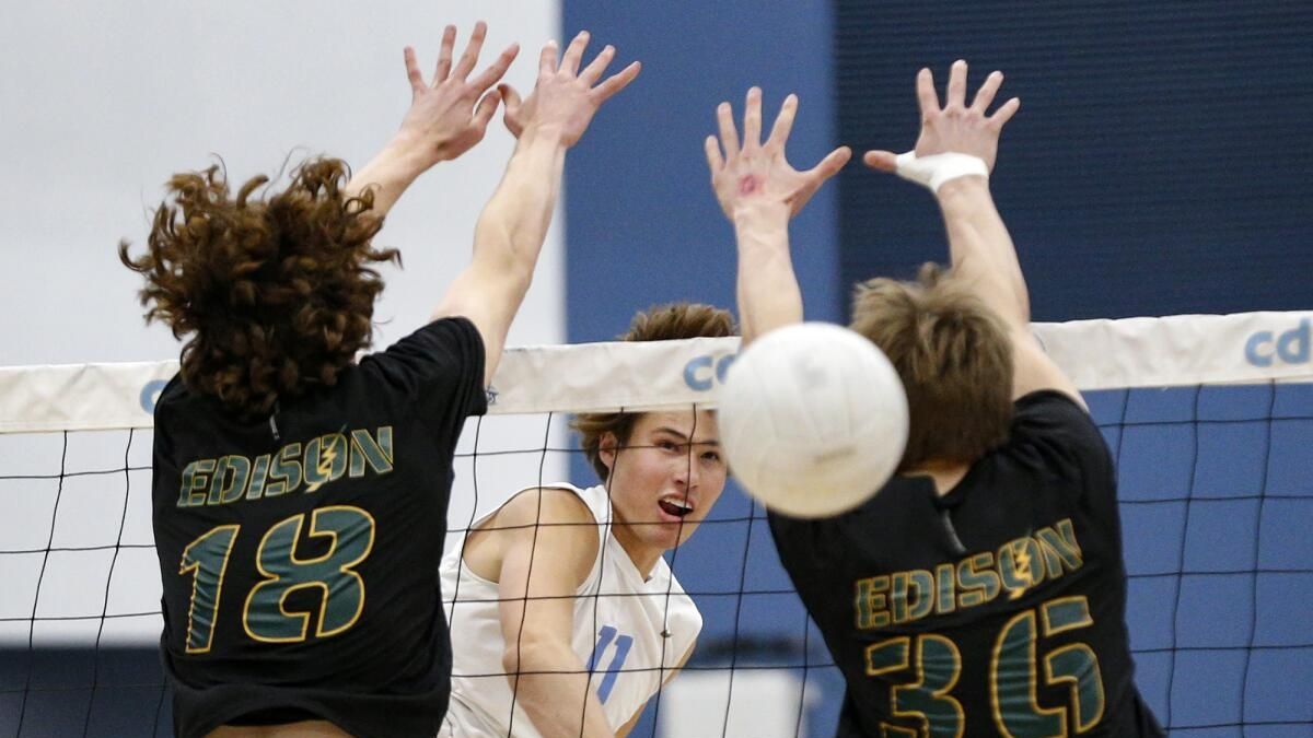 Sterling Foley: The Rising Star of Orange County High School Volleyball