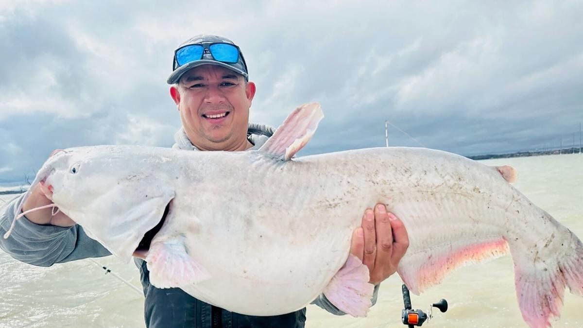 RecordBreaking Pale Blue Catfish Caught in Lake Ray Hubbard, Texas