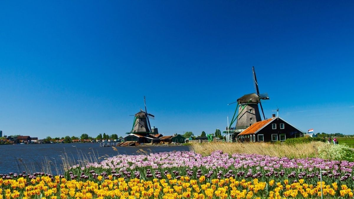 Nederlands Tulpenfestival en Nowruz-vieringen luiden een nieuw begin in