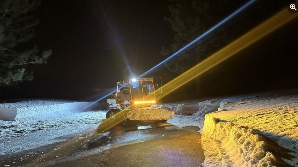 Heroic Rescue in Nevada County: Snowbound Couple and Dog Saved Amidst Harsh Blizzard