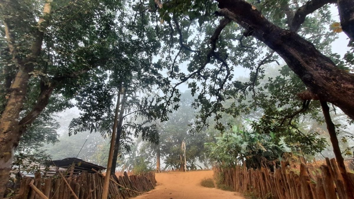 Kanger Valley 2023 Pioneering Bird Survey Sets Sights on Bastar Hill