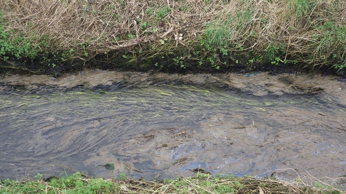 F.A.W. Bakers Kingston Farm Ltd Fined for Water Pollution A Call for