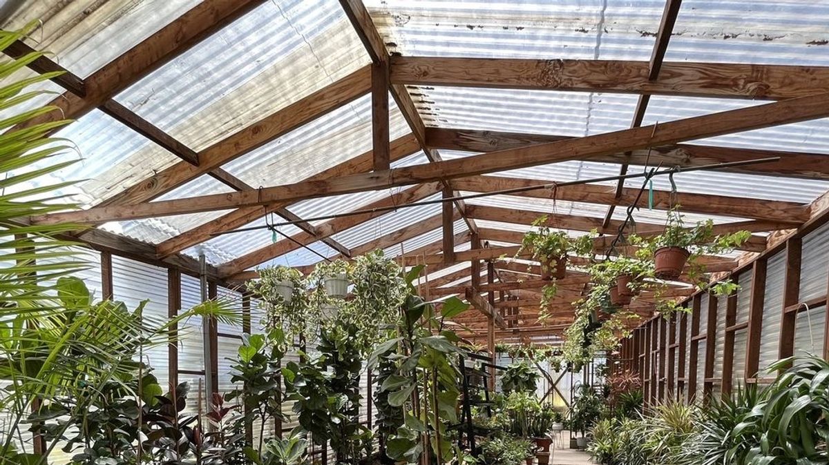 Terra Fate Native Plant Nursery and Tropical Greenhouse Opens in