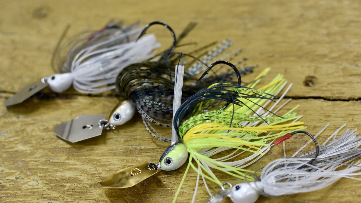 Tips to improve your bass fishing experience
