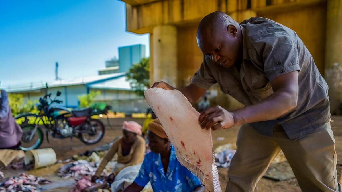 From Lake Pollution to Global Fashion: How Kisumu&rsquo;s Innovator Turns Fish Waste into Leather Luxury