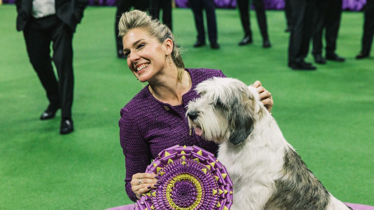 Unleash the Excitement 148th Annual Westminster Kennel Club Dog Show