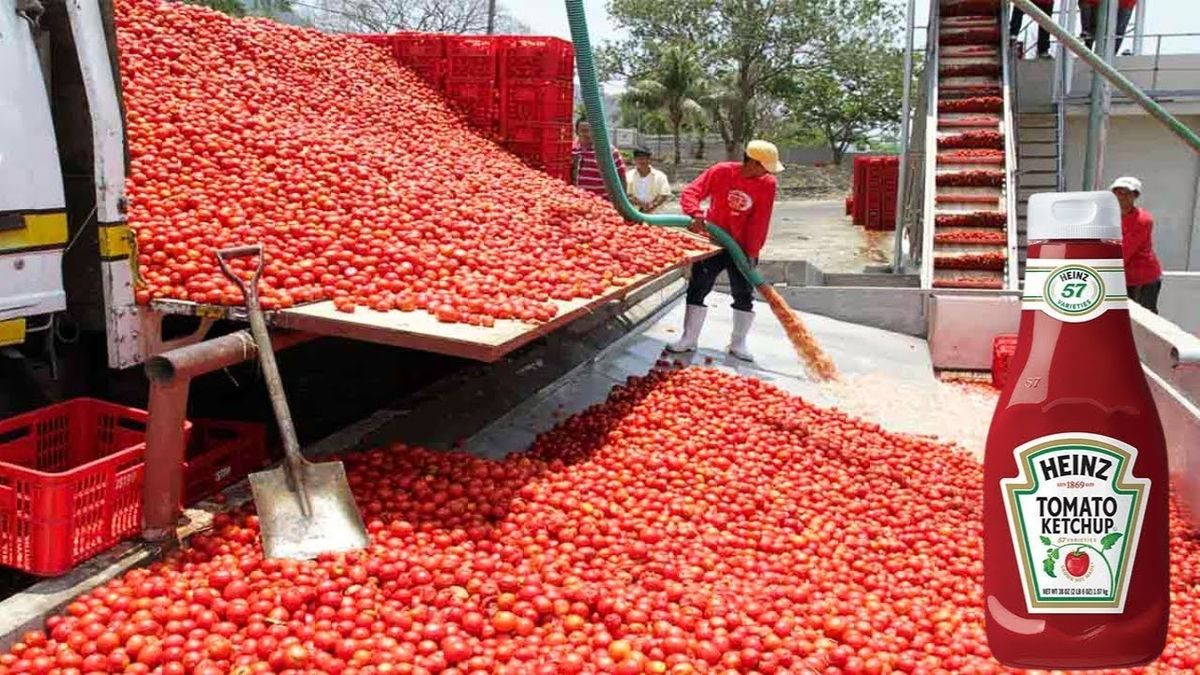 The Sweet Surprise Unraveling the Sugar Content in Heinz Ketchup