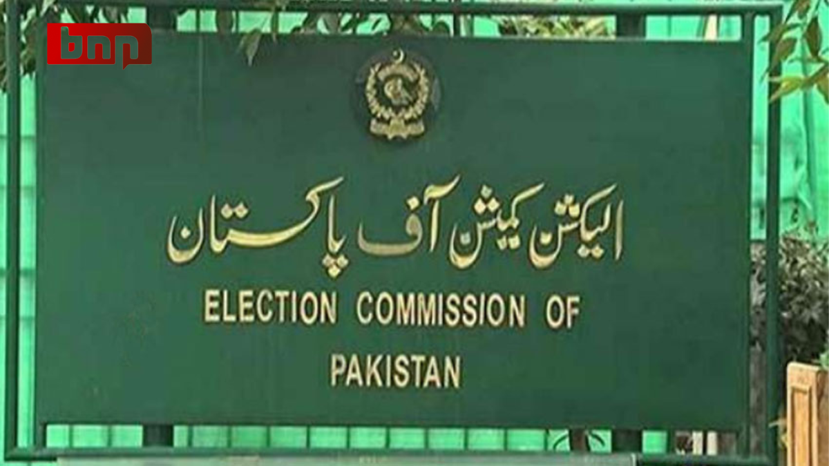 ecp-offices-will-be-open-on-saturday-and-sunday