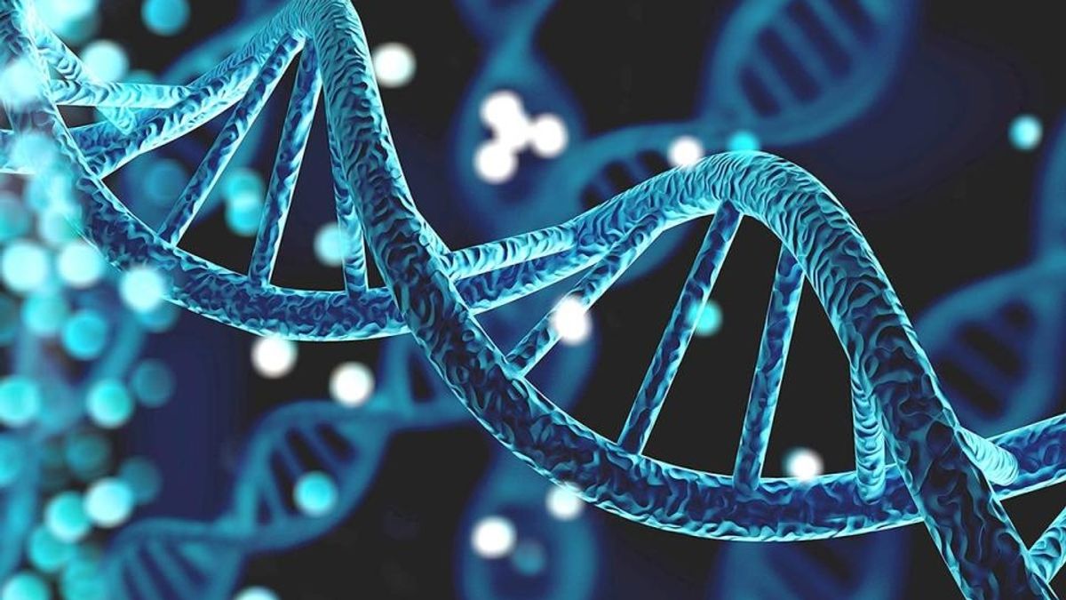 Maltese Biobank Project Dwarna Seeks Volunteers for DNA Research to ...