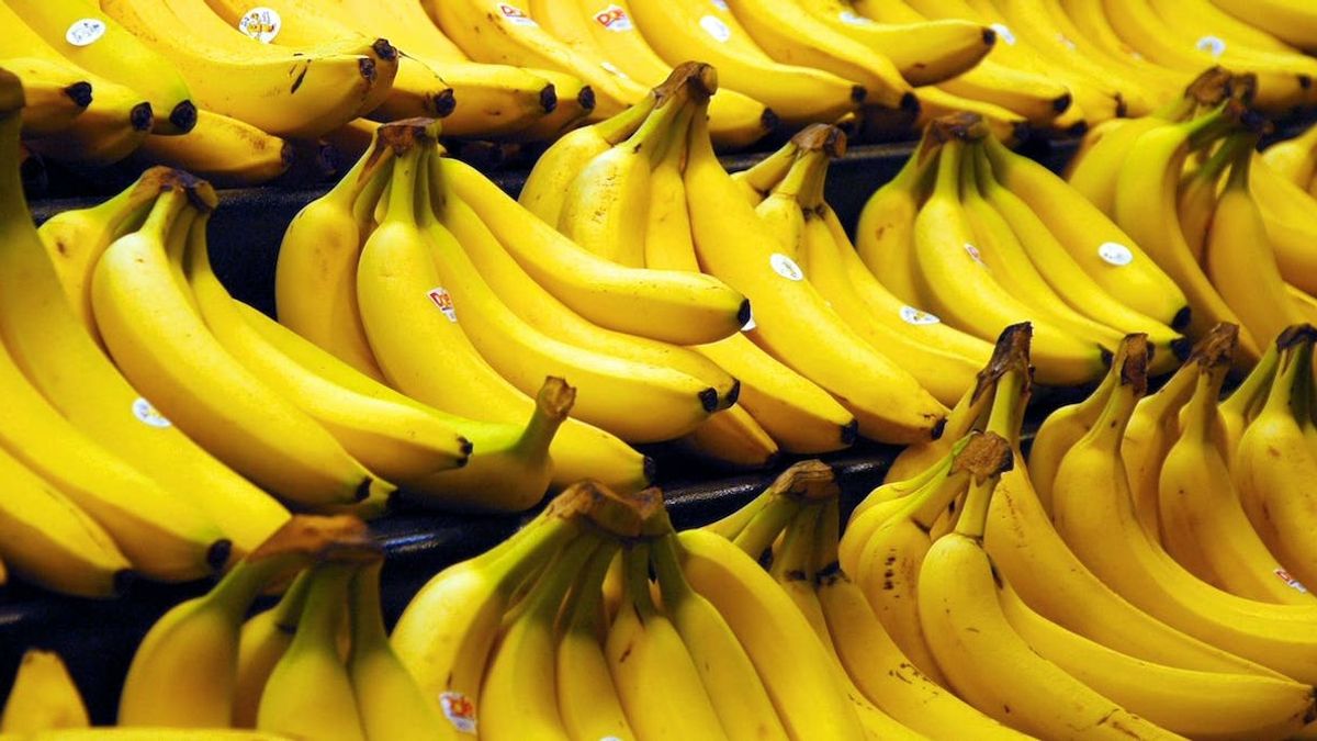 The Banana Crisis A Looming Threat and the Race for Survival