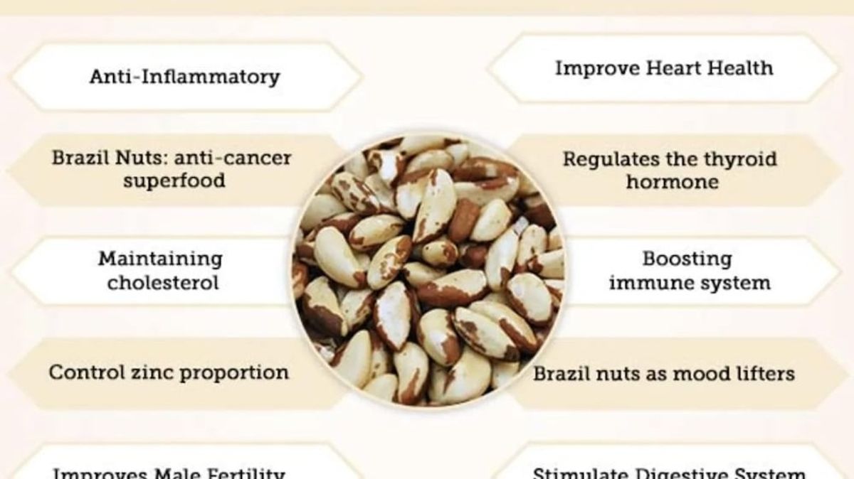 The Nutritional Powerhouse Unveiling the Health Benefits of Brazil Nuts