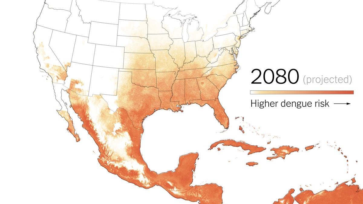 When Does The Fever Start 2025 Usa 