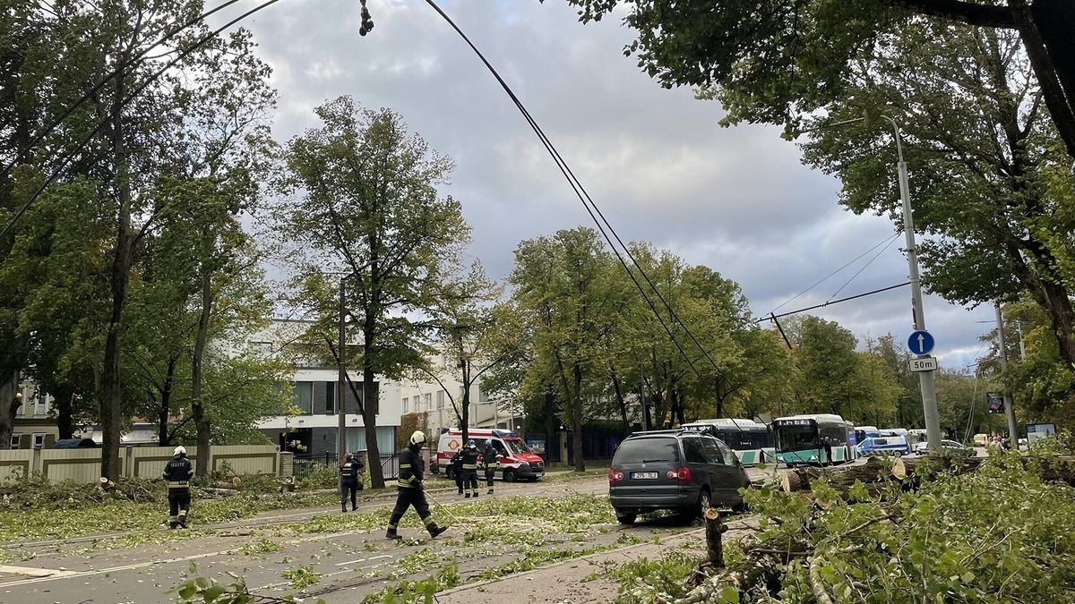 Wind Damage Sparks Fire Emergencies in Latvia: A Comprehensive Report